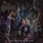 Ameliorating Vicissitudes