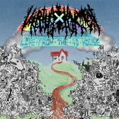 Live from the 4D House