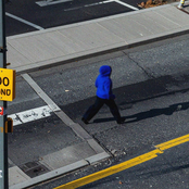 1-800 GIRLs: trust me