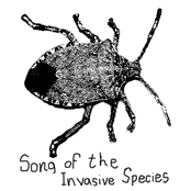 Song of the Invasive Species