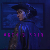 Orchid Rain