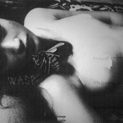WASP