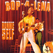 Big Fool by Ronnie Self