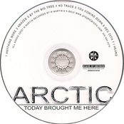 Anything More by Arctic