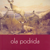 Lost And Found by Ola Podrida