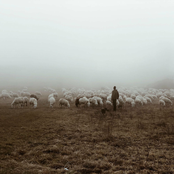 And Dream Of Sheep (piano version)