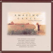 Amazing Grace: A Country Salute To Gospel