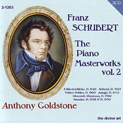 Schubert: Piano Masterworks, Vol. 2