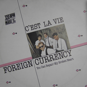 foreign currency