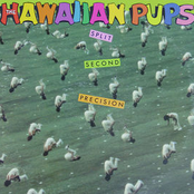 Trash by The Hawaiian Pups