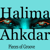 Pieces of Groove [Partial]