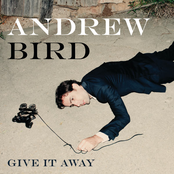 So Much Wine by Andrew Bird