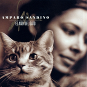 La Mentirosa by Amparo Sandino