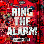 Ring the Alarm - Single