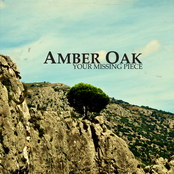 Amber Oak/Your missing piece