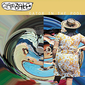 Clambake: Gator in the Pool