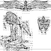 the light left my iris