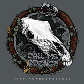 Beating a Dead Bronco