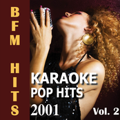 Karaoke: Pop Hits 2001, Vol. 2