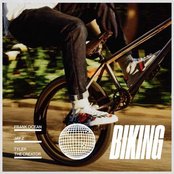 Frank Ocean - Biking