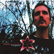 Shane Alexander: Stargazer