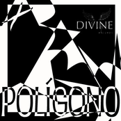 Polígono