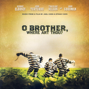 Dan Tyminski: O Brother, Where Art Thou?