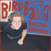 Birdbath
