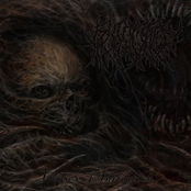 Verses of Initiation