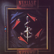 I Never Needed No One by The Neville Brothers