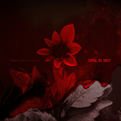 The Blight (Radio Edit)