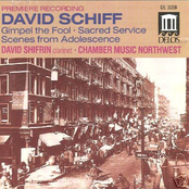 Schiff, D.: Sacred Service Suite / Divertimento From Gimpel the Fool / Scenes From Adolescence