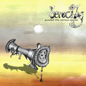 Puzzled Into Various Spaces