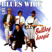 The Mean Thing by Blues Wire