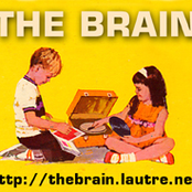 the brain