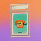 Adiós