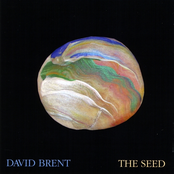 The Seed