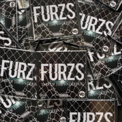 Year of the Underdog