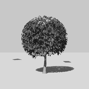 Connection To - Single
