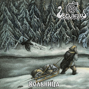 Вольница