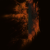 Profundal Sulphur Communion