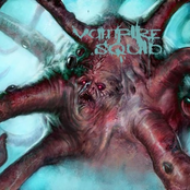 Vampire Squid