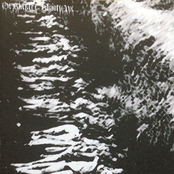 Votre Abrupte Decadence