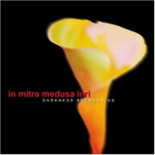 You Came From The Sun by In Mitra Medusa Inri