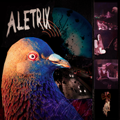 Aceito Sua Carona EP