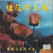 紅花襟上插