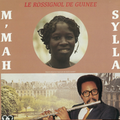 Le rossignol de Guinée