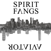 Aviator/Spirit Fangs split