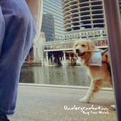 Any Two Words: Undergraduation.