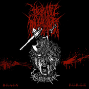 Brain Purge